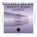 Perfect Senses - Jazzile (Collioure Remix)