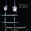 DJ Sulli & 5657 - Freedom Of Expression (S5 Join Hands Mix Remix)