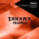 Vaivo - Curiosity (Original Mix)