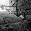 USLNK - Kyoku (Original Mix)