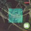Art Patrice - Cigale (Silt Dub)
