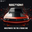 Section 1 - Infection Goes Global