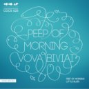 Vova Biviai - Little Blues (Original Mix)