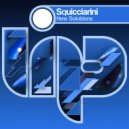 Squicciarini - New Solutions