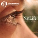 NatLife Feat. Inesse - Love Is The Feeling (The Airstatic Digital Dub Mix)