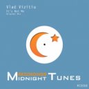 Vlad Vizitiu - It\'s Not Me (Original Mix)