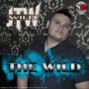 JTWild - Never Stop The Nod (Dub) (Original Mix)
