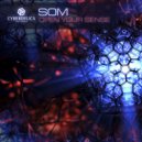 SunVox - Crazy Scientist\'s Story (SOM Remix)