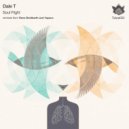 Dale T - Soul Flight