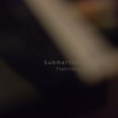 Paplinskyi - Pandemic
