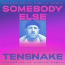 Tensnake Feat. Boy Matthews - Somebody Else