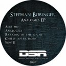 Stephan Bobinger - Analogics (Original Mix)