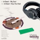 In-Deed - How You Feel (Original Mix)