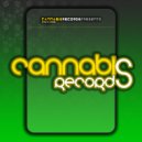 Christian Peak - Pineapple Express (Original Mix)