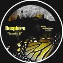Bosphore - Oasis