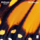 Kidnap feat. Leo Stannard - Willow Tree