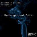 Steve Murrell & Jay Lambert - RTFM (Serotonin Thieves Remix)