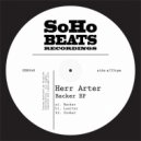 Herr Arter - Zooker (Original Mix)