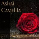 Ashai - Camellia (Inito Remix)