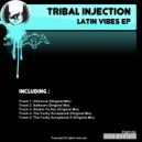 Tribal Injection - The Funky Scrapbook II