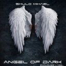 Shulo Mihael - Walk In The Light