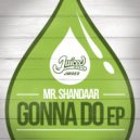 Mr Shandaar - Lose Control (Original Mix)