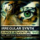 Irregular Synth - Hard Disk Fail