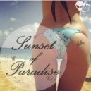 Funk V. - Paradise