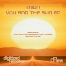 Imida - The Cone That Was Stolen From The Road