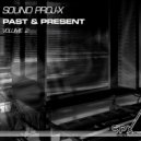 Q\'Bass pres. Erwin Digson - F@cking Lokos (Moorea Blur Remix)