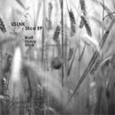 USLNK - mauy (Original Mix)