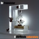 Dr Transistor - Silicone Is Groovin