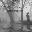 Chris Carini - Too Late For The Music