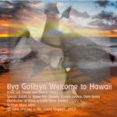 Ilya Golitsyn - Welcome To Hawaii