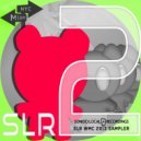 Nick Tcherniak & Steve Thomas feat Lizzie France - Everybody (Rio Dela Duna Vamos Remix)