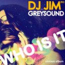 DJ Jim (RU) & Greysound - Who Is It (Biskvit Remix)