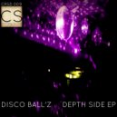 Disco Ball\'z - Everybody (Coach Roebuck Remix)