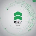 Survey - All In All