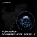 Rodrigo DP - Know Why