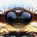 Dirty Ganesh - Hard Times Requires Furious Dancing (Original Mix)