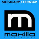 Metacarp - Sternum (Original Mix)