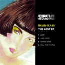 David Glass - Tell The People