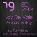 Javi Del Valle - Funky Valley (David Devilla & Daniman Remix)