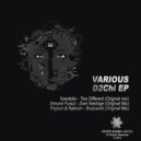 Psylum, Natrium - Bodywork (Original Mix)