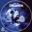 Single Cell - Magnum