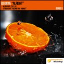 DJ Kaya - Straight From The Heart (Original Mix)