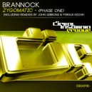 Brannock - Zygomatic (Fergus Keogh Remix)