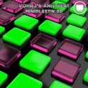 VOHR3 & Anie Beat - Staticnoize