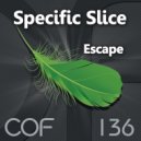 Specific Slice - Winter Carnival