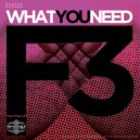 F3 - What You Need (Rob Made Remix)